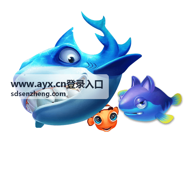 AYX登录入口异常现象排查顺序说明