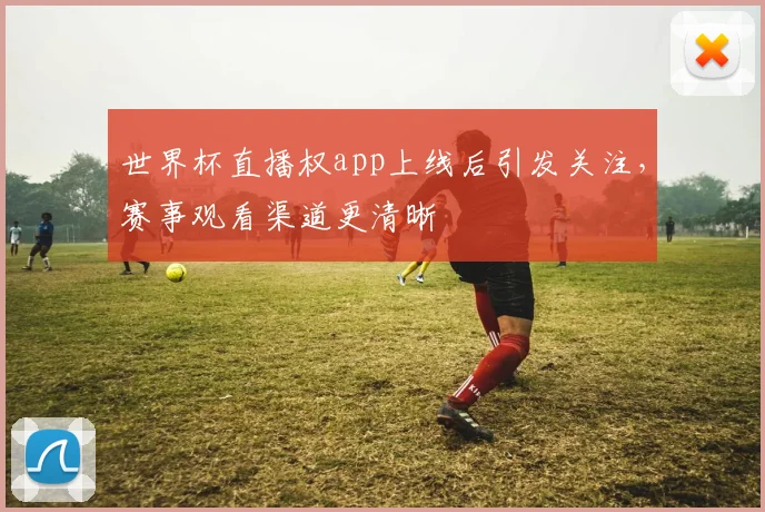 世界杯直播权app上线后引发关注，赛事观看渠道更清晰