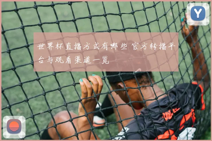 世界杯直播方式有哪些 官方转播平台与观看渠道一览
