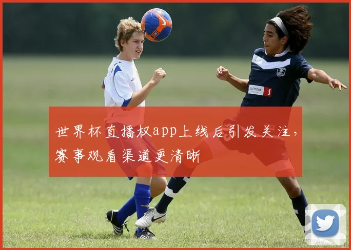 世界杯直播权app上线后引发关注，赛事观看渠道更清晰