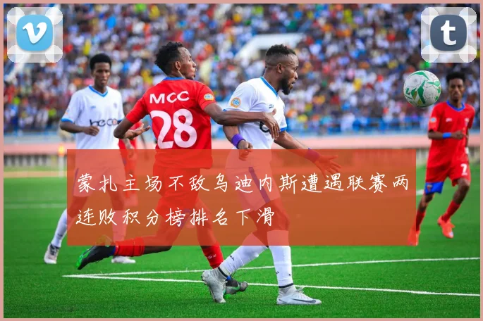 蒙扎主场不敌乌迪内斯遭遇联赛两连败积分榜排名下滑