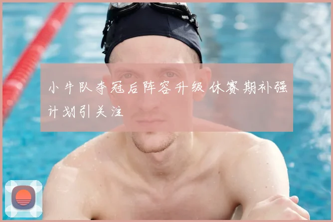 小牛队夺冠后阵容升级 休赛期补强计划引关注
